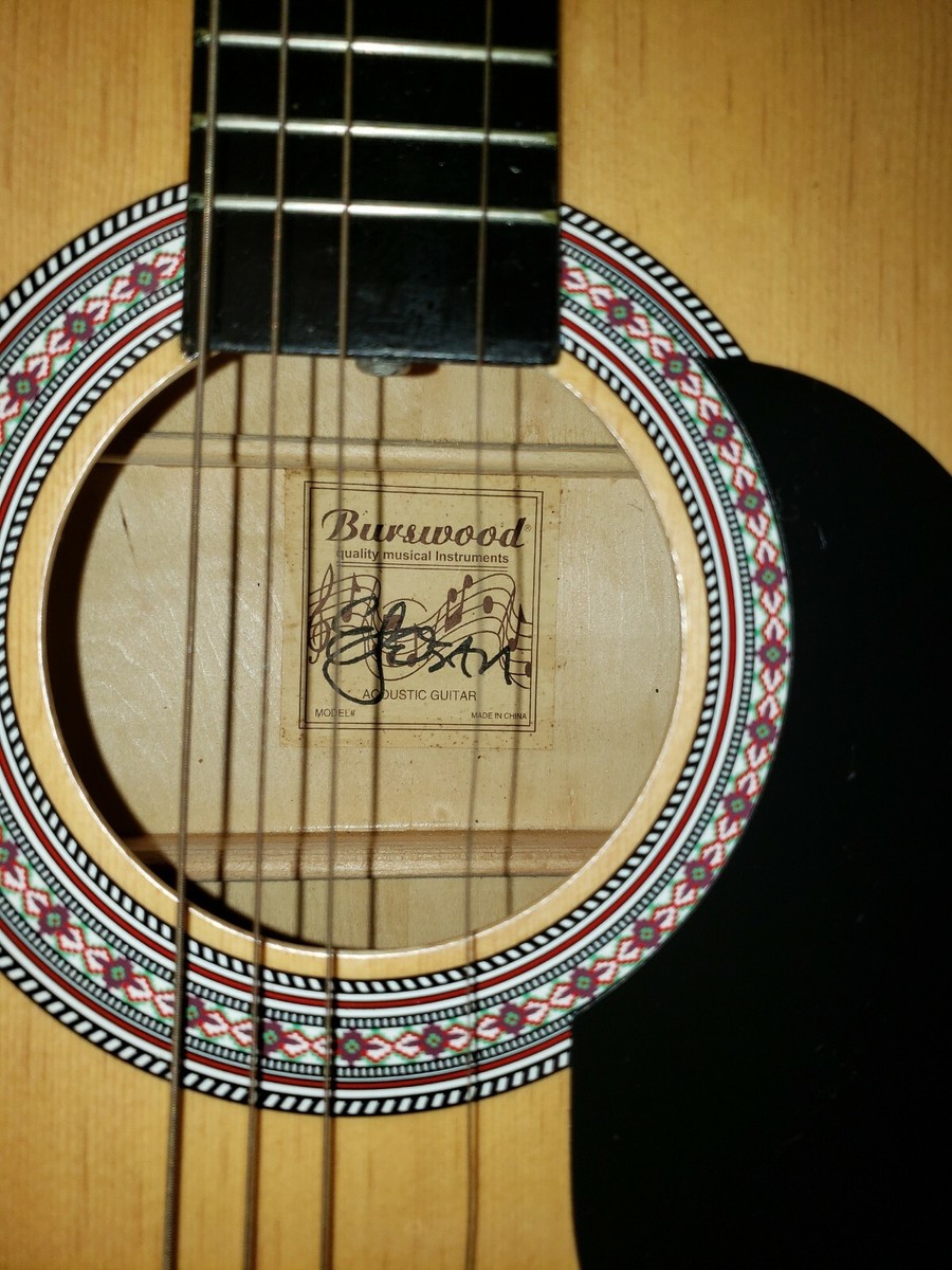 Burswood Acoustic Guitar W/Case | eBay