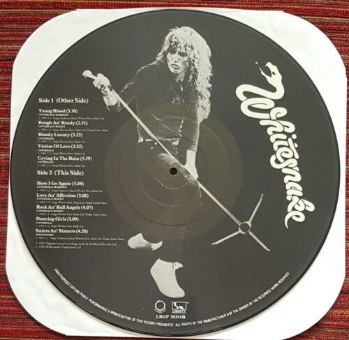WHITESNAKE SIANTS & SINNERS LIMITED EDITION UK 1982 PICTURE DISC VINYL LP, MINT - Picture 2 of 2
