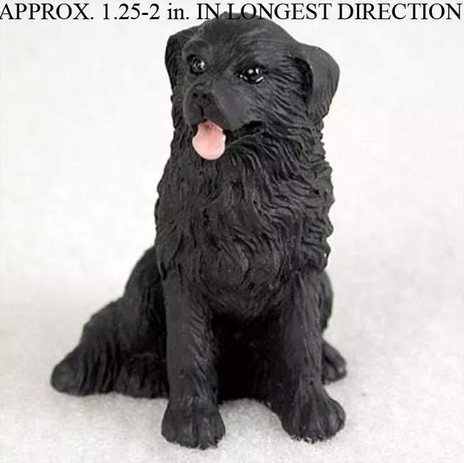 Mini newfoundland best sale dog