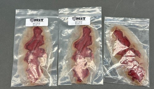 MST Moulage Sciences - Bleeding Wounds Skills Trainer kit - Picture 9 of 17