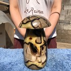 12.9LB Natural Septarian Dragon quartz Crystal mushroom Mineral Specimen Healing — photo 3