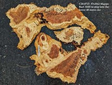 Poplar Slab  Live Edge  River Table  DIY Crafts  C24-0723