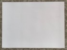 JUNGIL HONG Tiger 2016 Art Print #273/300 Poster PROVIDENCE Chippendale Thunder — photo 6