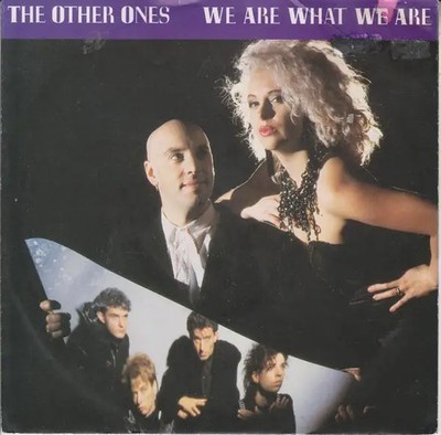 The Other Ones We Are What We Are Vinyl Single 7inch NEAR MINT Virgin
