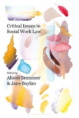 Critical Issues in Social Work Law - 9781137541505