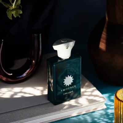 香水(ユニセックス) AMOUAGE ENCLAVE Eau De Parfum 100ml