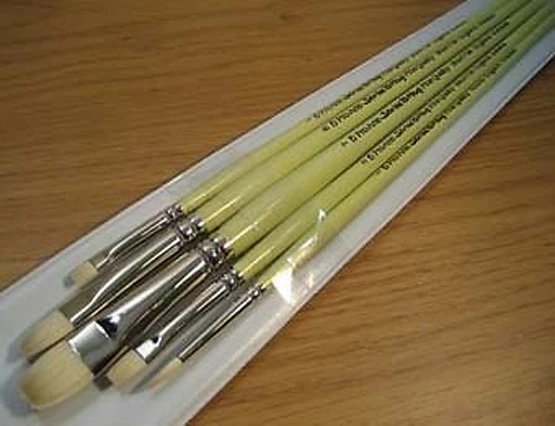 Pro Arte Artists Quality Series B Hog 5 Brush Set W7B. For Oil or Acrylic paint