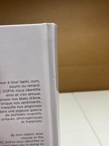FC SOFIA ART PHOTO BOOK 2009 GALERIE LAURENT STROUK PARIS FRANCE jean corbu - Picture 3 of 8