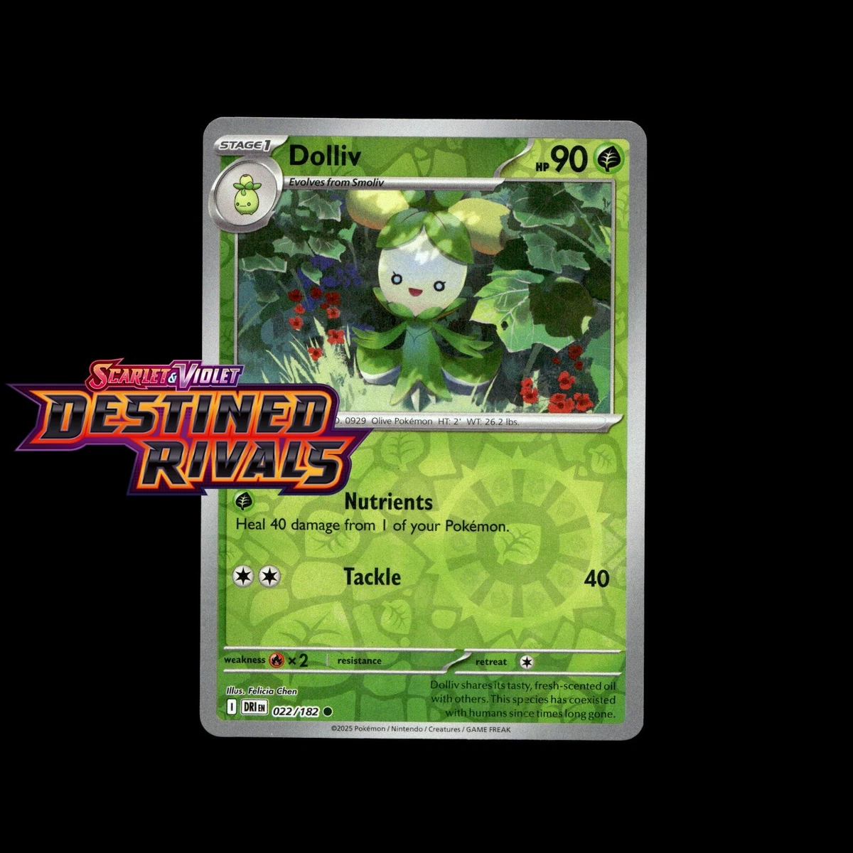 Dolliv Pokmon TCG Cards for sale | eBay