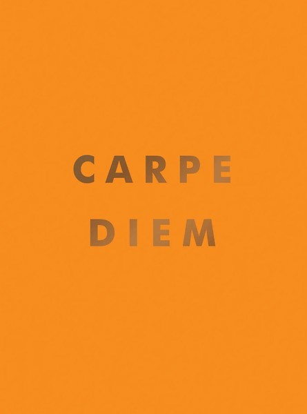 Summersdale | Carpe Diem | Buch | Englisch (2022) | Gebunden | Summersdale-image