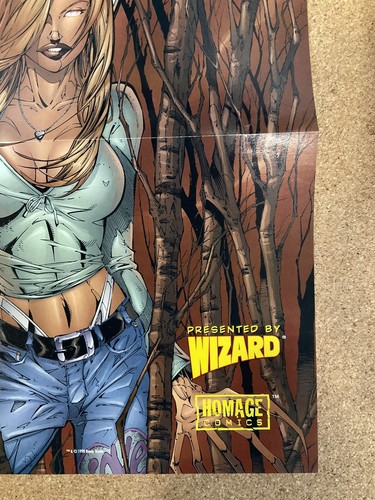 Wizard Darkchylde Promotional Poster Signed by Randy Queen 1998 Vintage And Rare - Picture 5 of 7