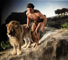 1927 Buster Crabbe in King of the Jungle 11 x 14" Photo