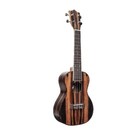Ebony Top Concert Ukuleles