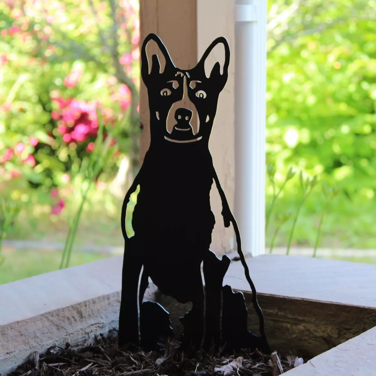All black sale basenji