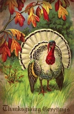 Thanksgiving Greetings (Reproduction Image) --POSTCARD