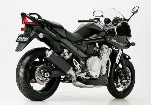 Hurric Rac 1 Auspuff Passend FüR Suzuki GSF 1200 Bandit 2001-2005-image