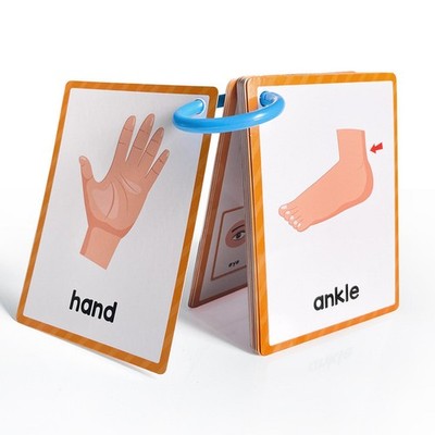 Körperteile Lernkarten Englisch Taschenkarten Lernkarten Kind
