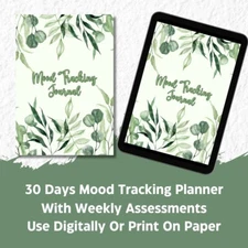 Digital Mood Tracking Planner for 30 Days With Weekly Assessments