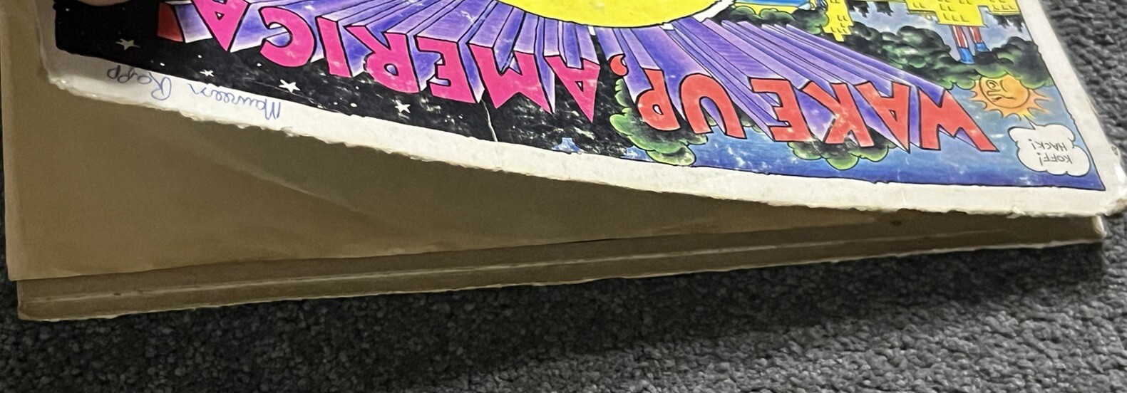 Picture 9 of 10
