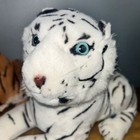 Picture 4 of 10