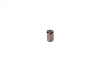 Für C.E.I 160198 Needle Rollers 160198 Synchromesh locking element (roll) SCANI