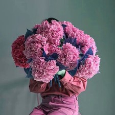 3pcs 25in Artificial Realistic Hydrangea Flowers 3D Real Touch 25in Extra Long