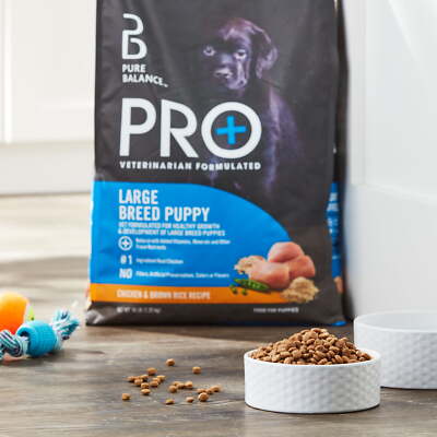 Food Brands Vet The Best Dog Food For Puppies Pure Balance Pro+
