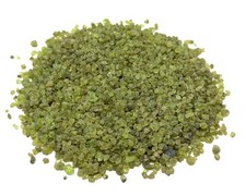 Peridot Semi Rough Gemstone Chips 2-4 mm Wholesale Lots (Natural Peridot Chips)