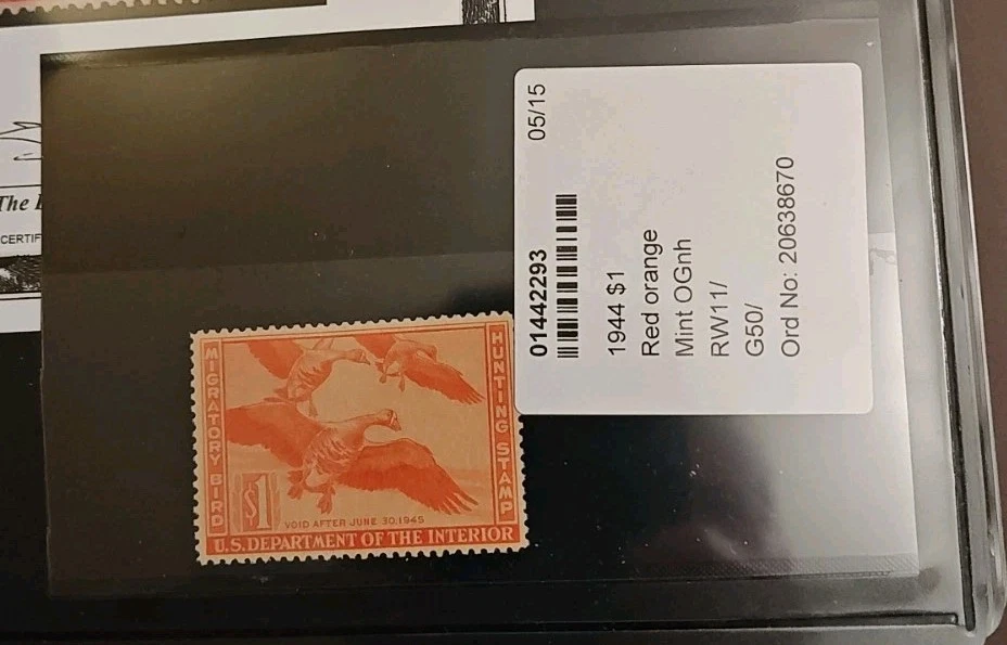 Certified #RW11- 1944 - US Federal Duck Stamp - Fine Mint OG. - Image 4 of 4