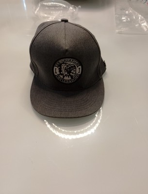 Cayler & Sons Bravehearted Hat New Snapbacks Grey Crested Logo Streetwear 