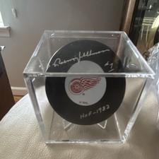 Detroit Red Wings Collecting and Fan Guide 88
