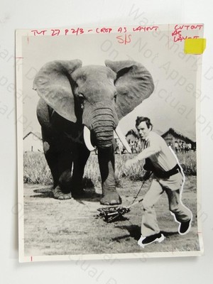 Mann Dieter Plage laufender Elefant Wildkamera TV Times 1980 Foto