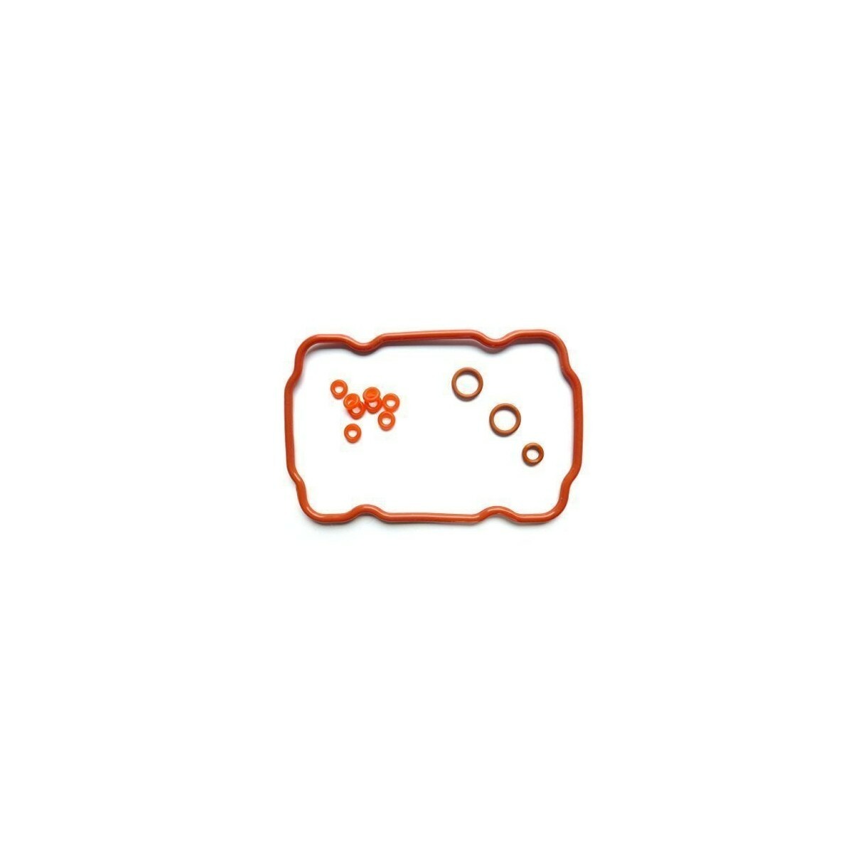 SAECO REPAIR GASKET KIT FOR VIENNA eBay