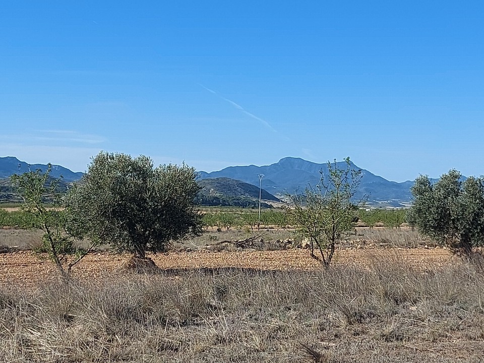 Spanish Property Investment Pinoso Mountain View Villa & Pool Project 10k Inv. eBay