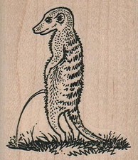 MeerCat Peeing 2 1/4 x 2 1/2" Rubber Stamp, Animal Stamp, MeerCat Stamp