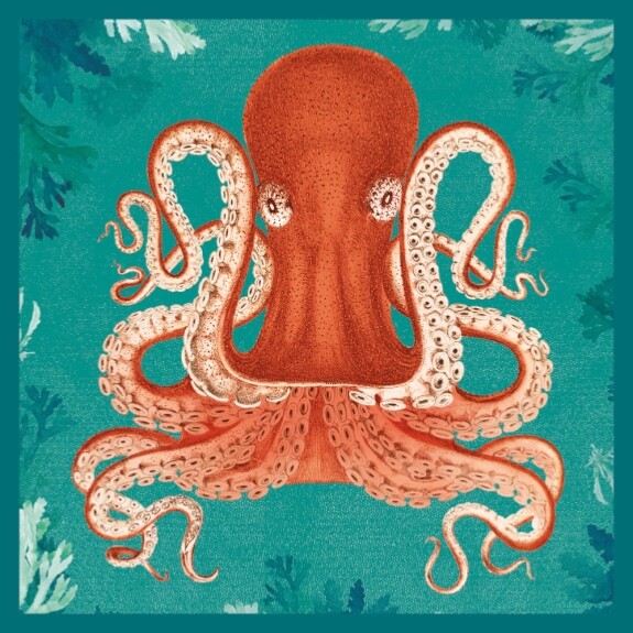 Octopus - Blank Art Greeting Birthday Card - Sea Creature Natural History Museum