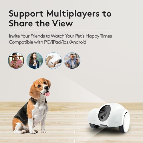 Youpet Dog Camera 1080P Full HD (2.4G WiFi ONLY) - WHITE