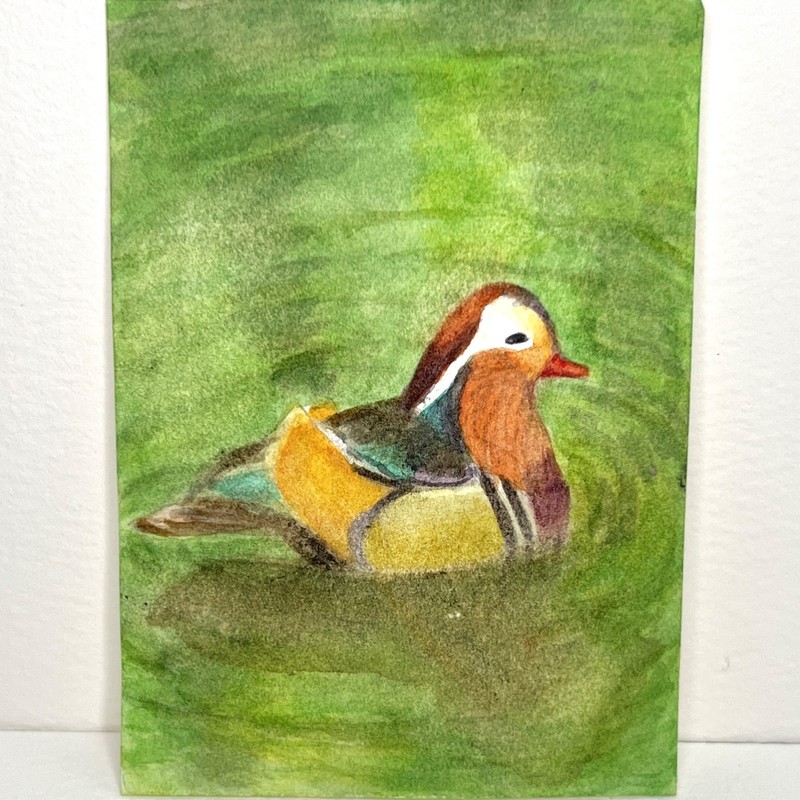 ACEO Original Mandarin Duck watercolor, 3.5x2.5 inch art card by IshaPintura