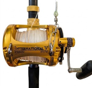 Penn International Rod | eBay