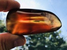 79 karatów Miód Żółty Prawdziwy Bursztyn Miód Żółty Bursztyn Bermudy Karaiby