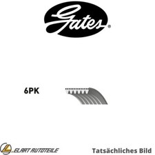 DIE KEILRIPPENRIEMEN FÜR MERCEDES BENZ CHEVROLET VITO BUS W639 M 112 976 LY2