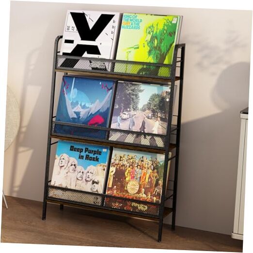Vinyl Record Storage Holder Large Capacity 3-Tier LP Records Rack Store About