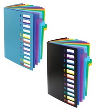 24 Clear Pocket Expanding File Folder with 12 Colored Tabs, Letter Size, Hold...