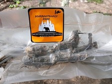 Wildcrafted Whole Osha Root   1 oz  FREE  oz  Snap-Tested.