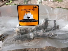 Wildcrafted Whole Osha Root – 1 oz + FREE ½ oz | Snap-Tested.