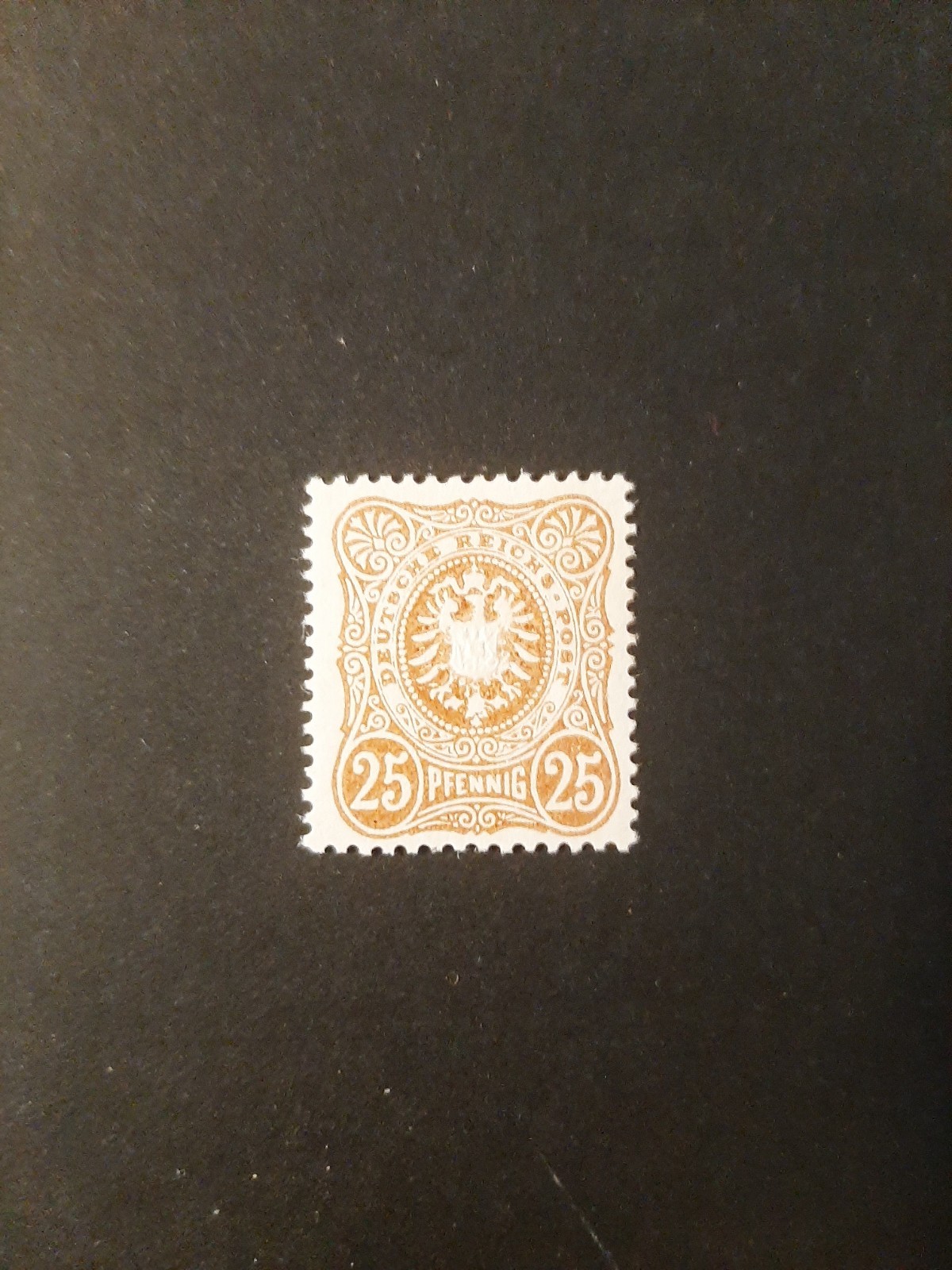 Foto 1 di 2