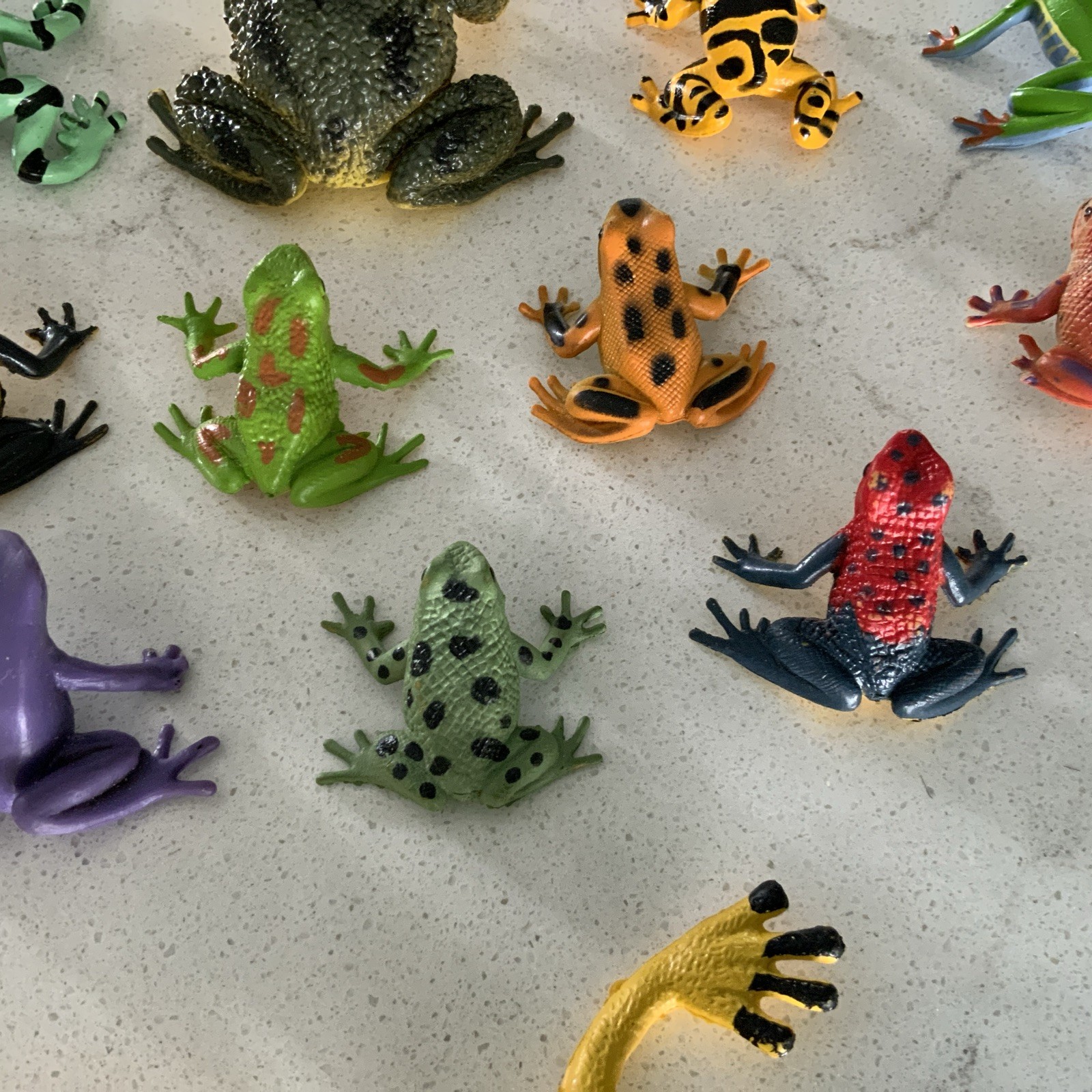 Safari Ltd + W. N. Made In China Collectible Set Of 15 Poison Dart Frogs Vintage