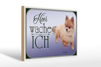 Holzschild Hund 30X20 Cm Zwergspitz Hier Wache Ich Holz Deko Schild Wooden Sign