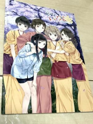 Hanasaku Iroha The Movie Home Sweet Home Pamphlet Official JAPAN Original +TN