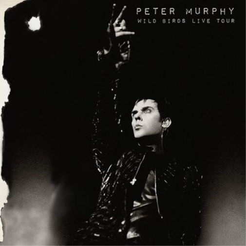 Peter Murphy Wild Birds Live Tour (CD) Album